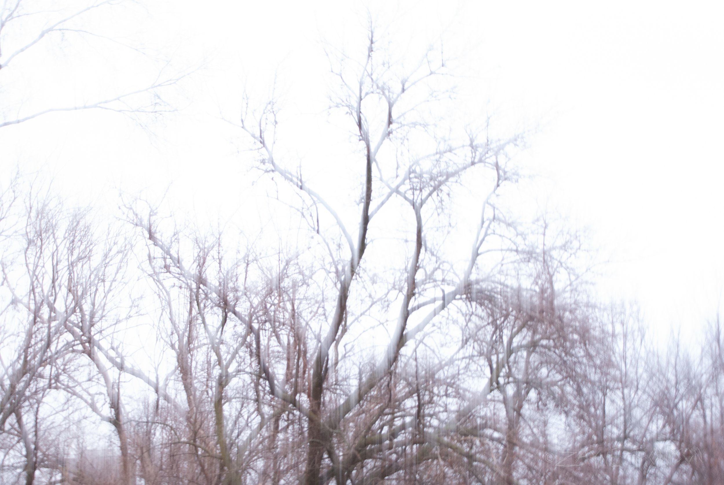 All of these ones take very clear inspiration from the cover of The Cure's "Seventeen Seconds".