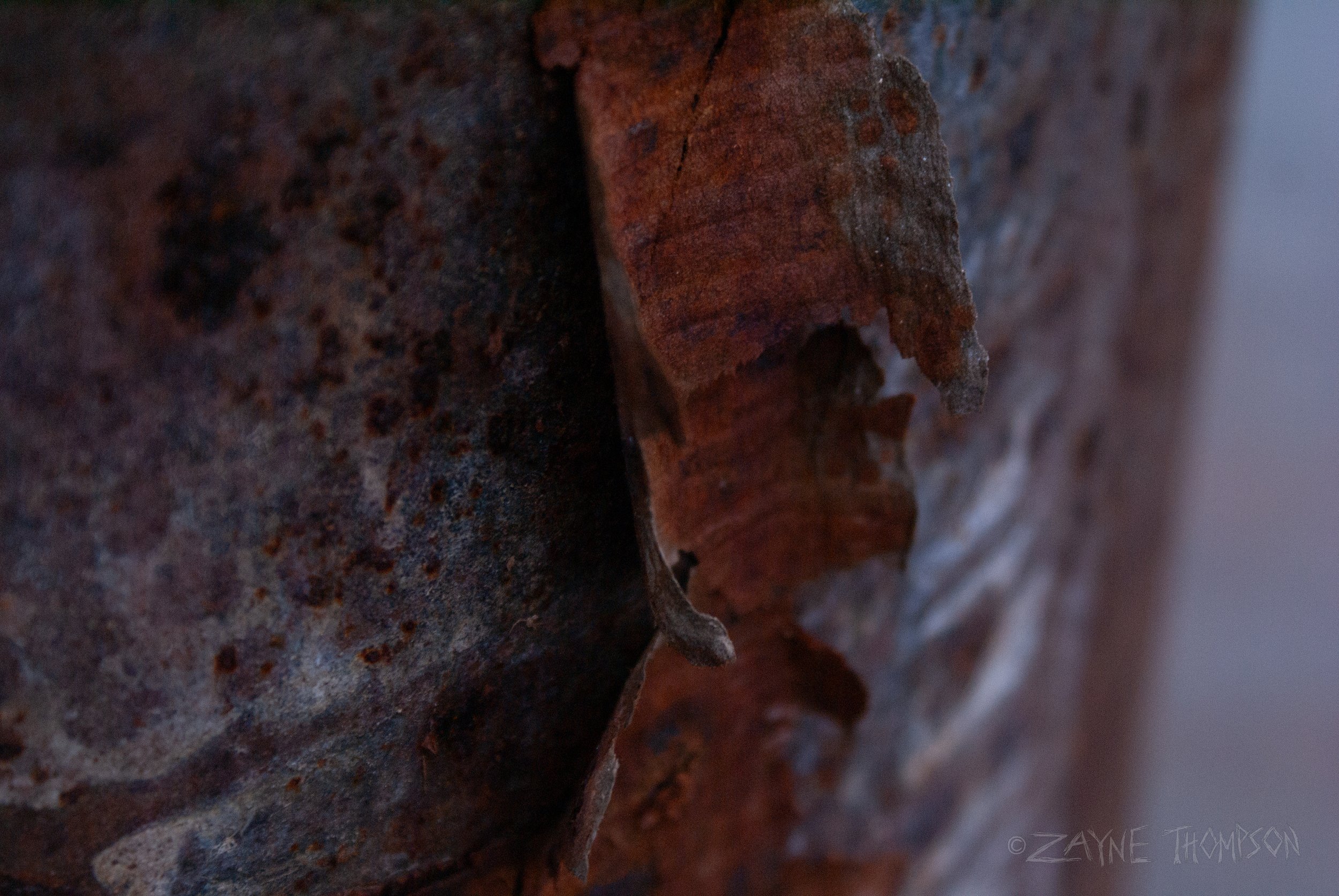 Who knew rust could be so pretty and intriguing? These photos are all very much inspired by the works of Russel Mills and Rob Sheridan for Nine Inch Nails' art.