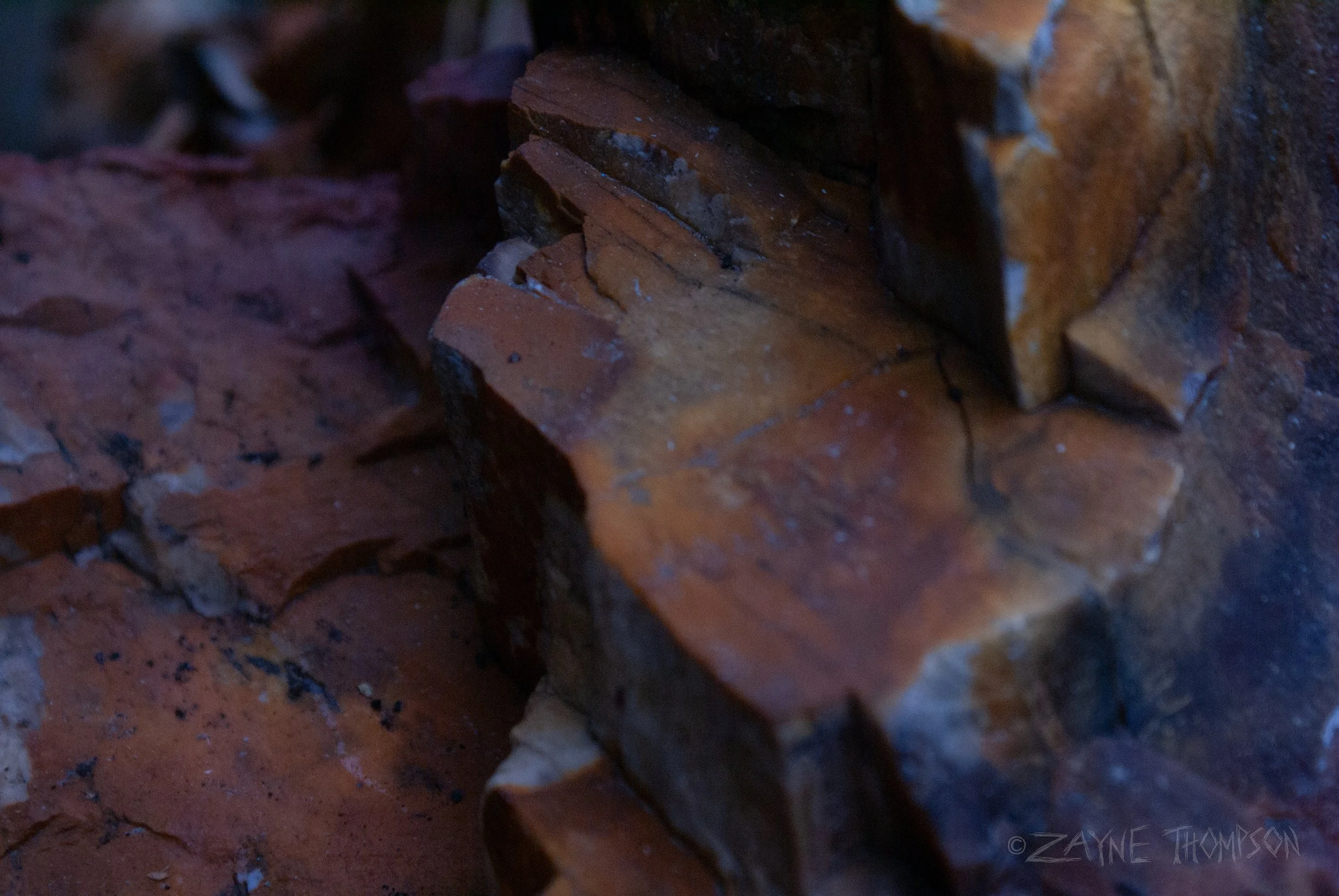 A chunk of petrified wood with really pretty colors that's been in our back yard pretty much forever