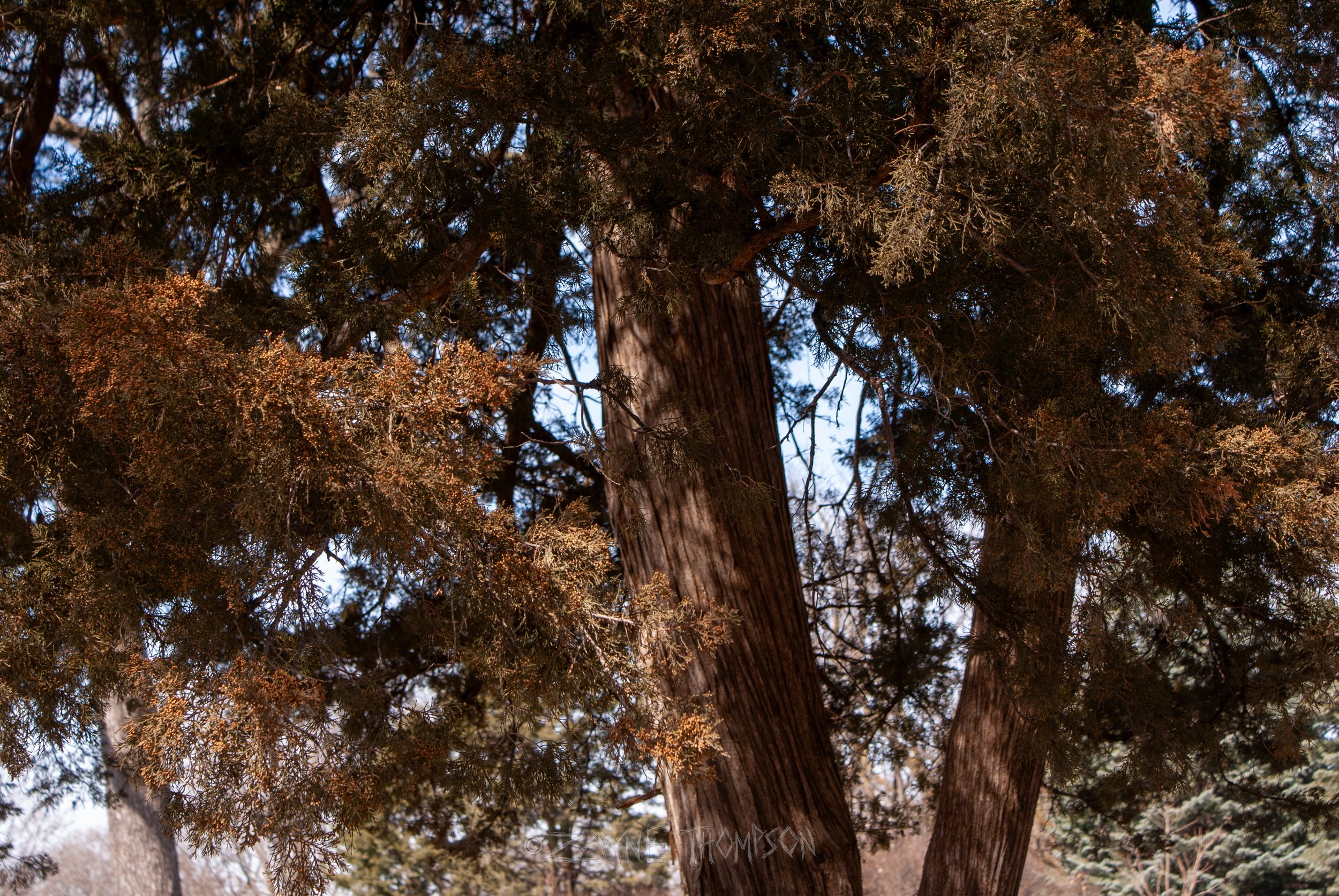 9 mar 2025 walk photos lower-21.jpg