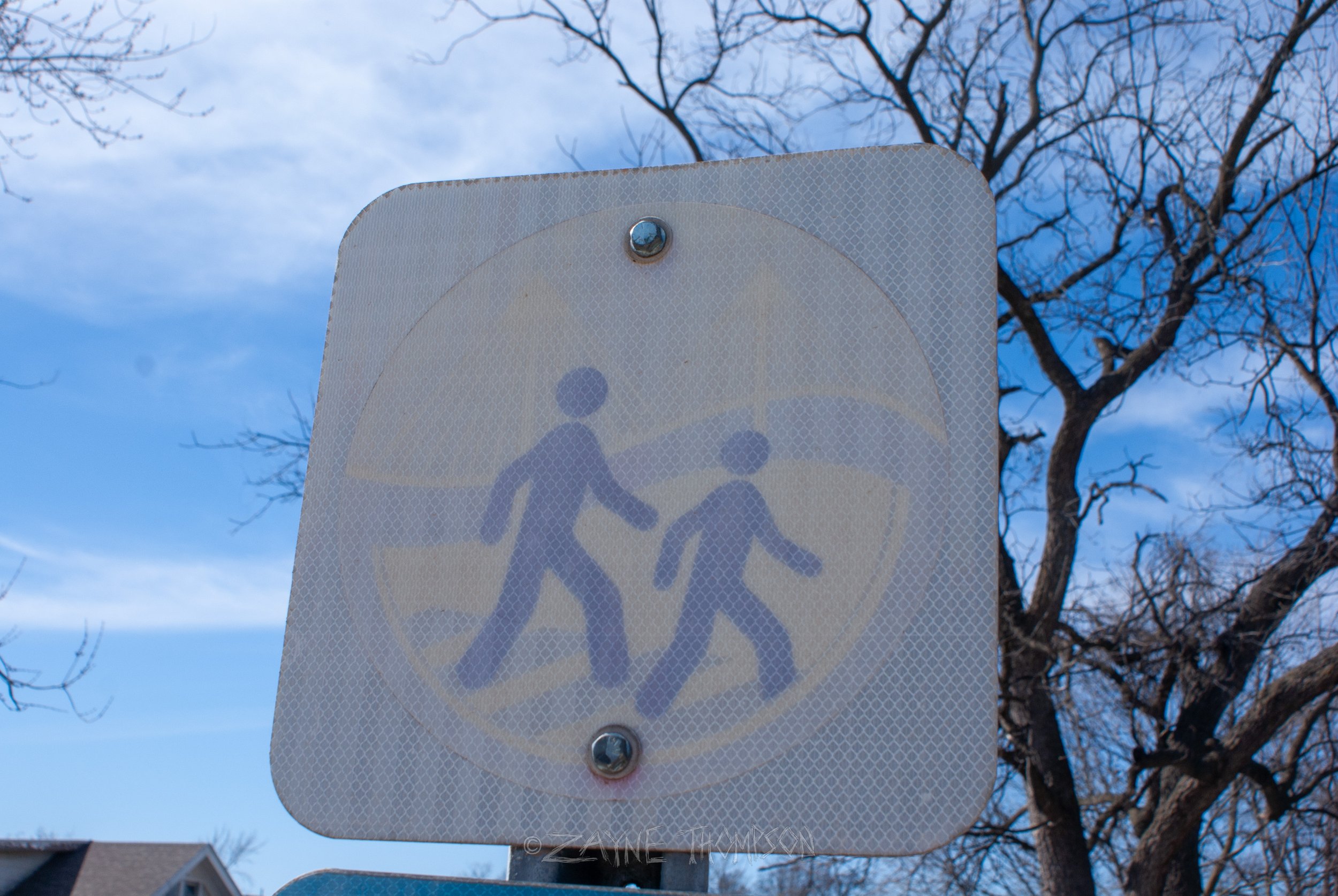 9 mar 2025 walk photos lower-23.jpg