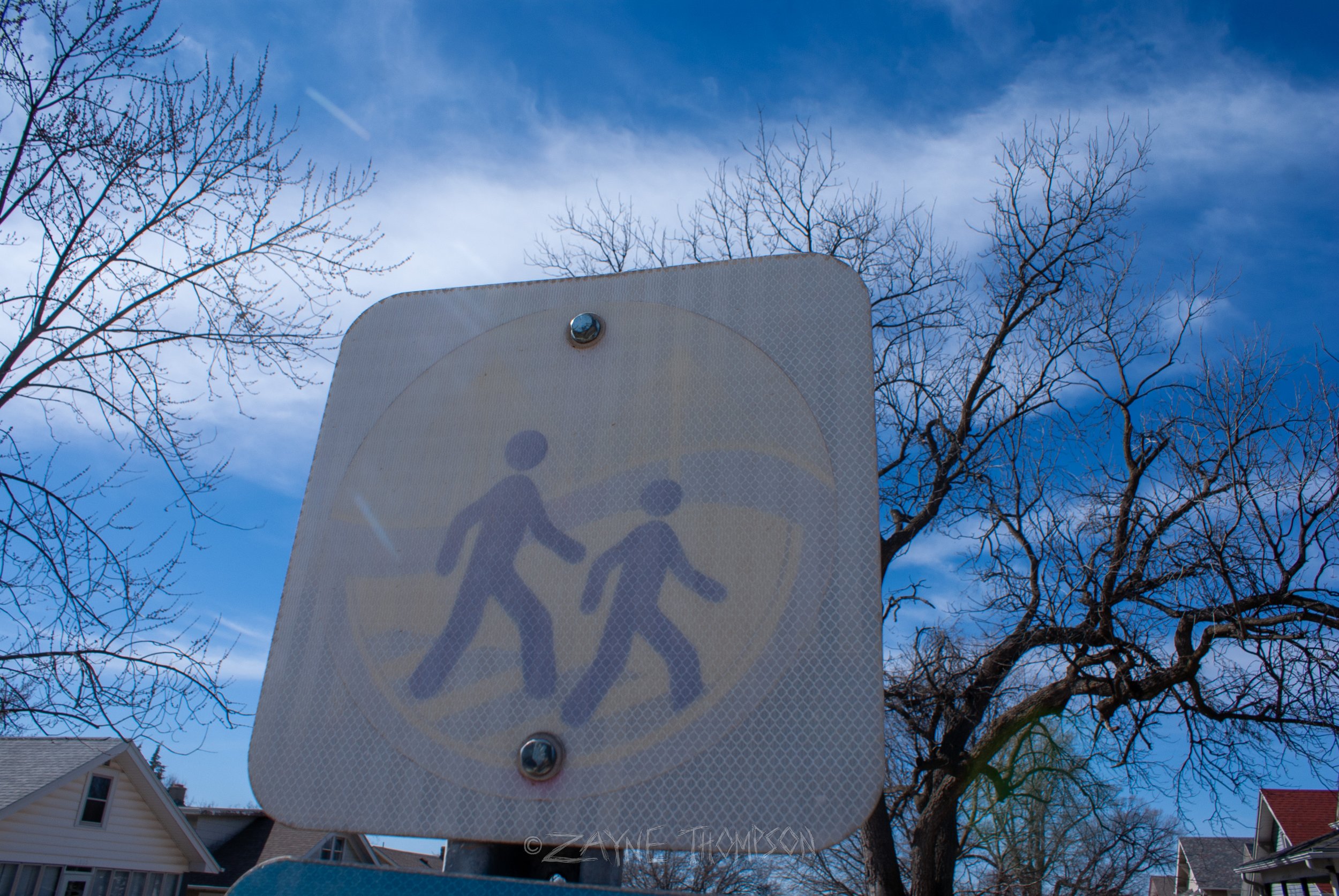 9 mar 2025 walk photos lower-24.jpg