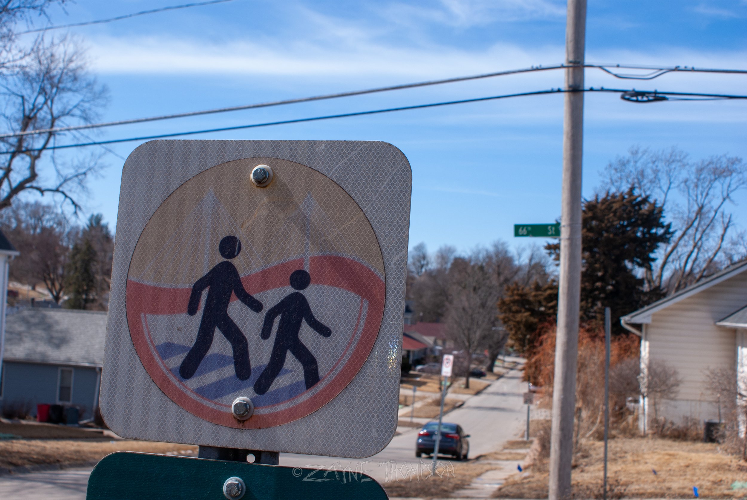 9 mar 2025 walk photos lower-26.jpg