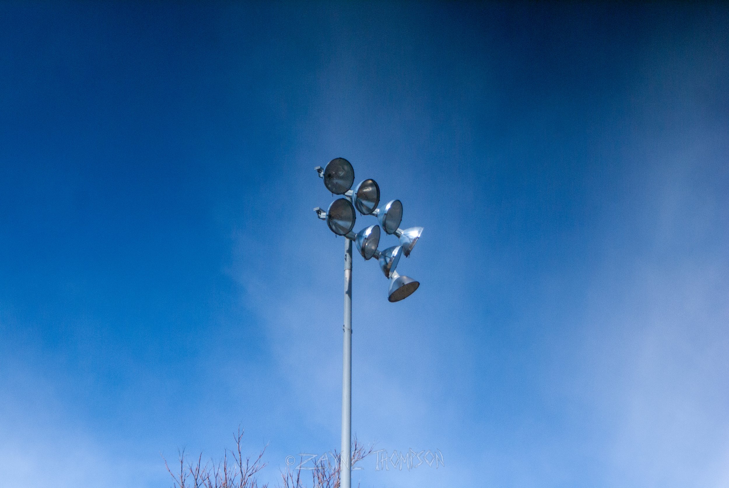 9 mar 2025 walk photos lower-28.jpg