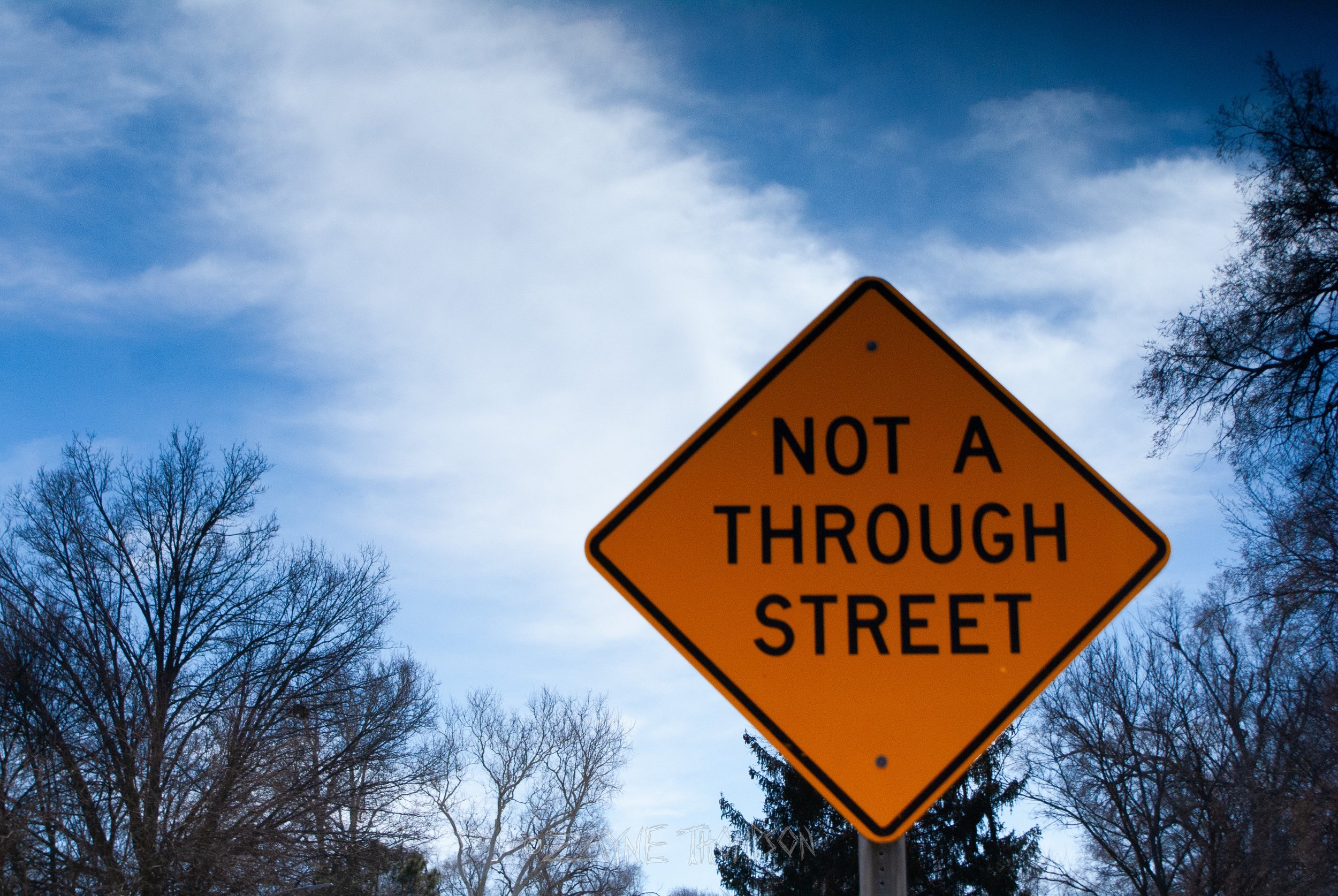 9 mar 2025 walk photos lower-29.jpg