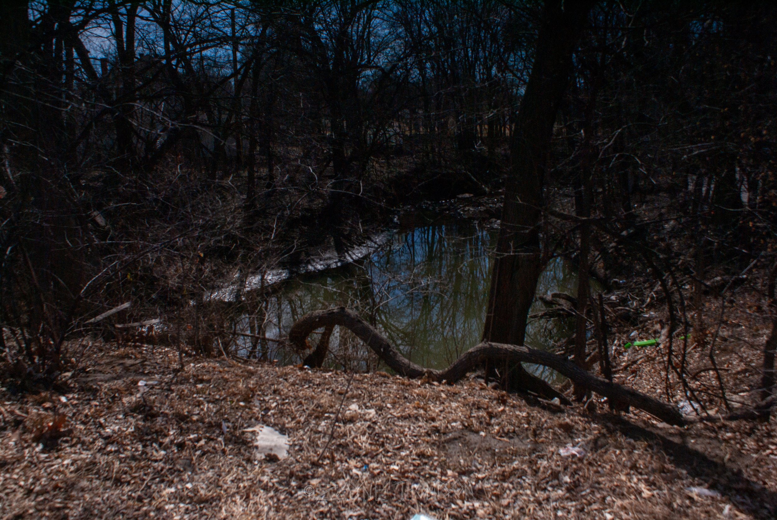 9 mar 2025 walk photos lower-30.jpg