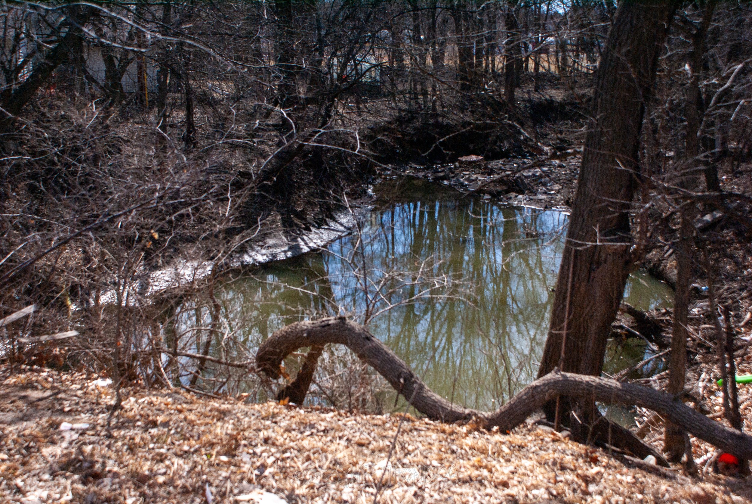 9 mar 2025 walk photos lower-31.jpg