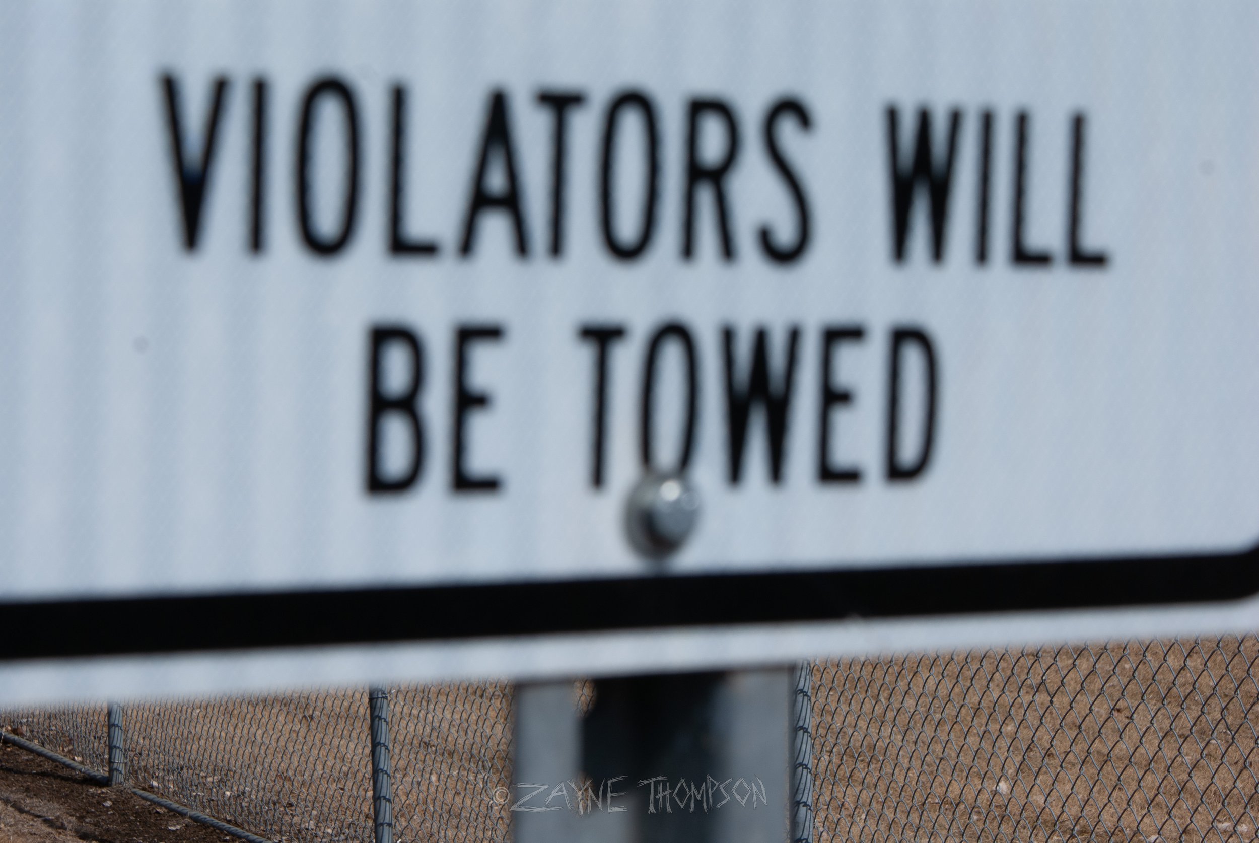 9 mar 2025 walk photos lower-36.jpg