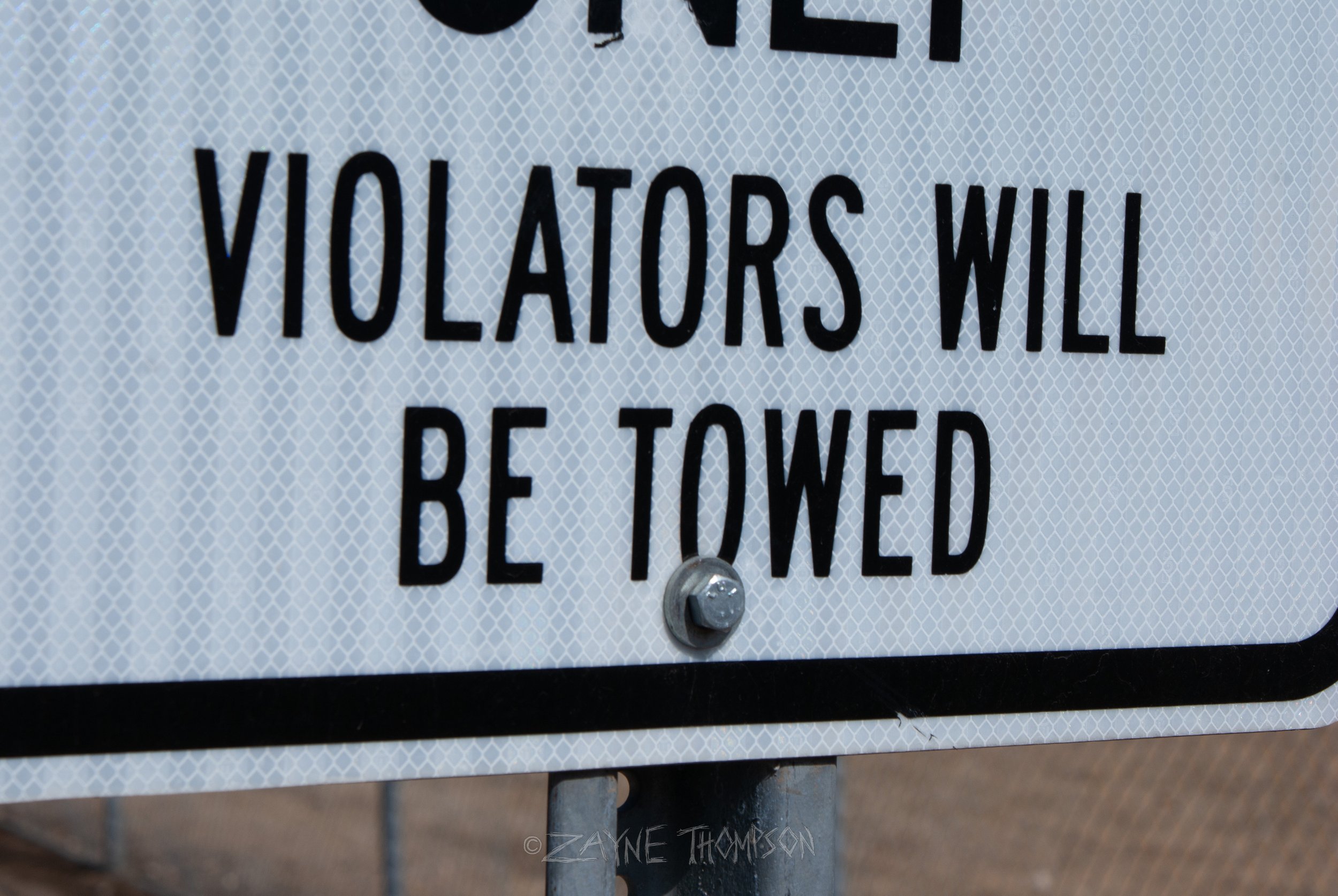 9 mar 2025 walk photos lower-37.jpg