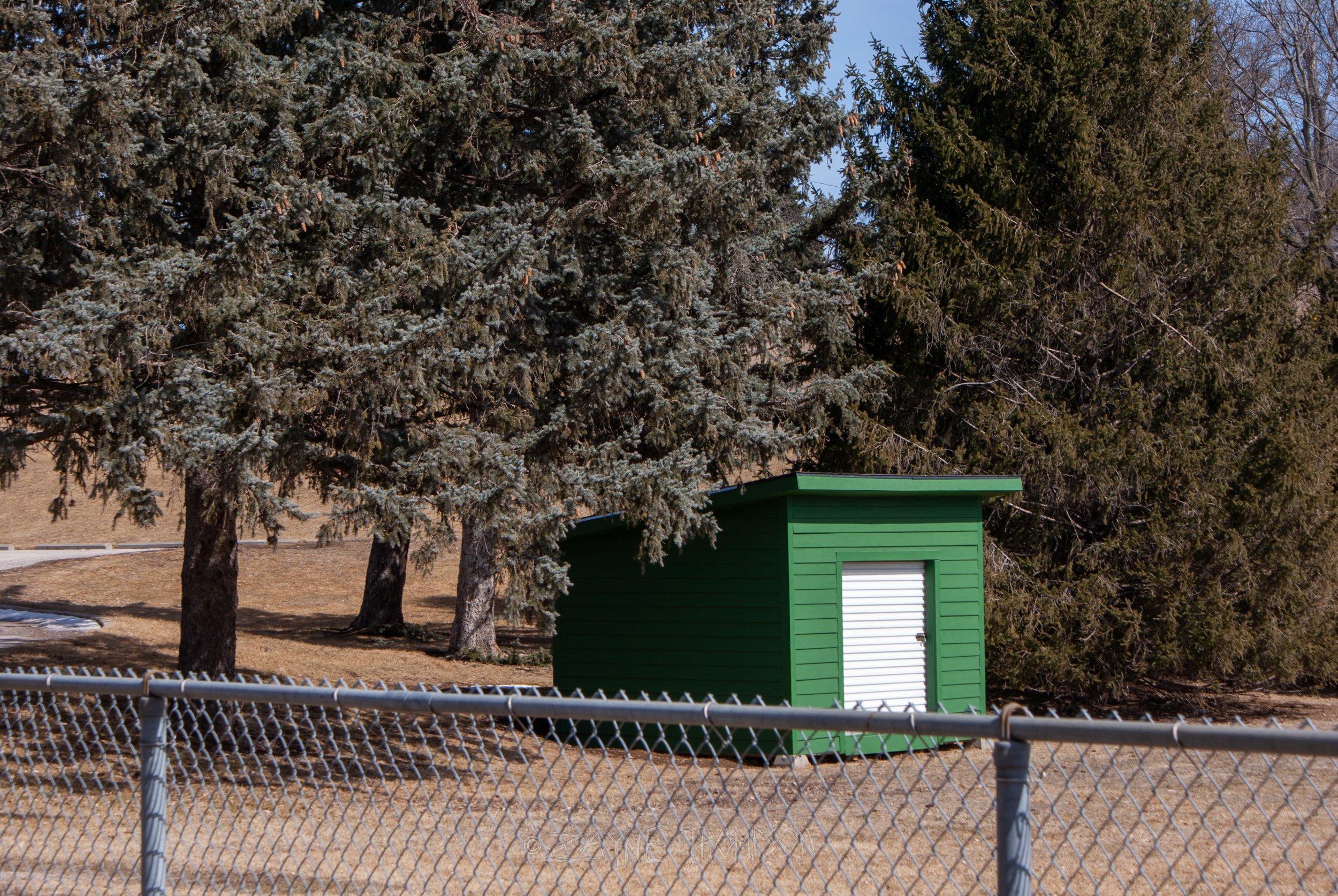 9 mar 2025 walk photos lower-40.jpg