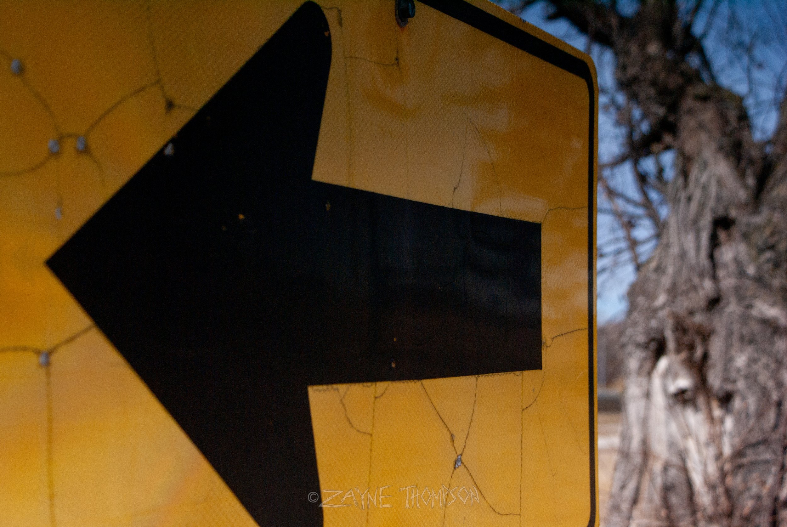 9 mar 2025 walk photos lower-41.jpg