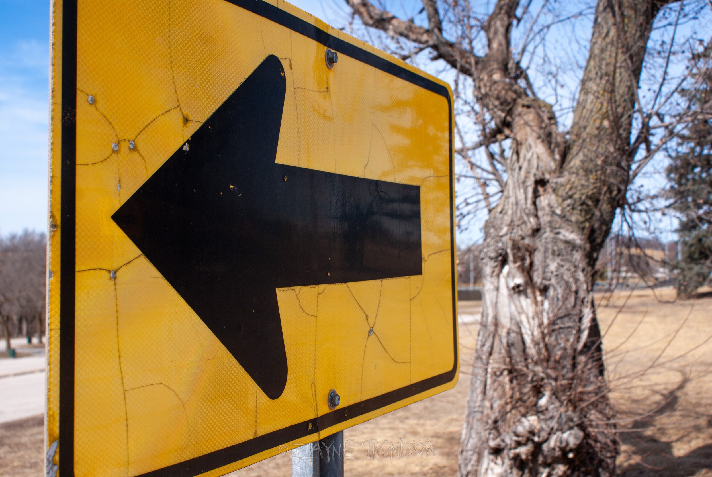 9 mar 2025 walk photos lower-42.jpg