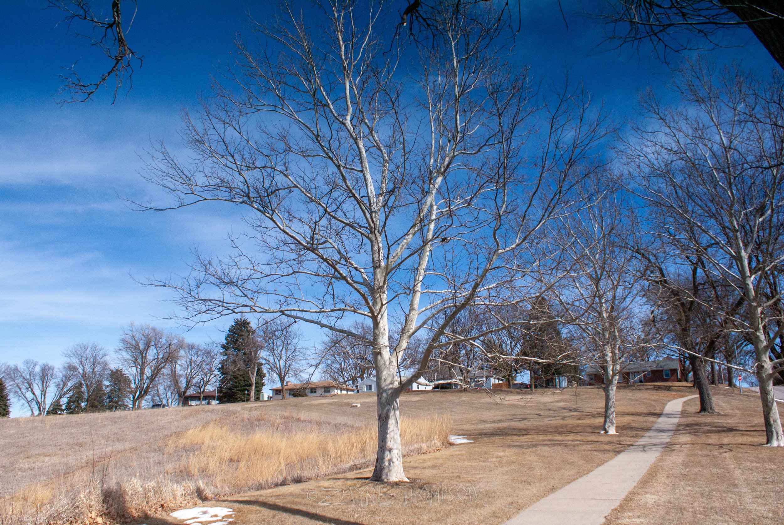 9 mar 2025 walk photos lower-43.jpg