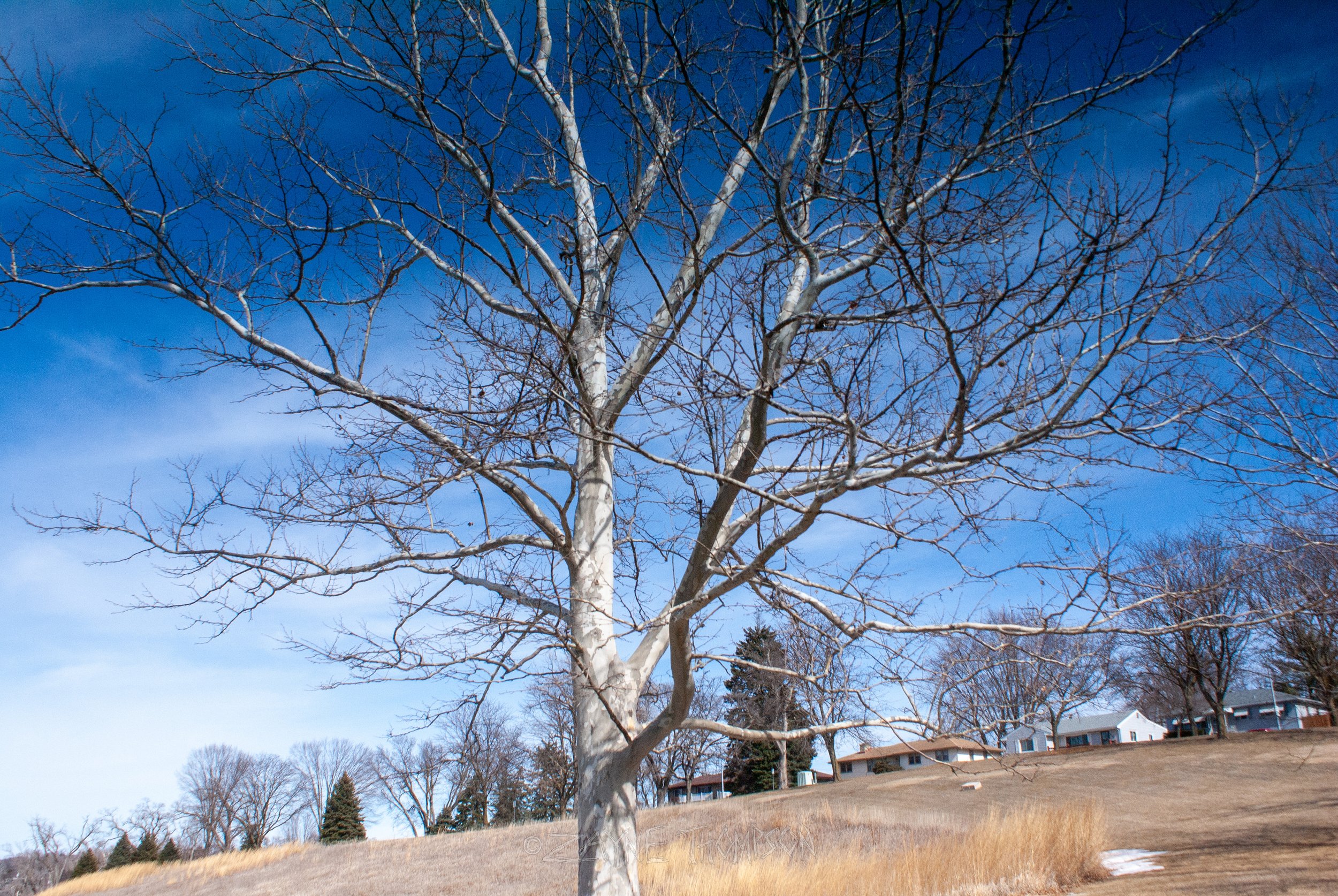 9 mar 2025 walk photos lower-46.jpg