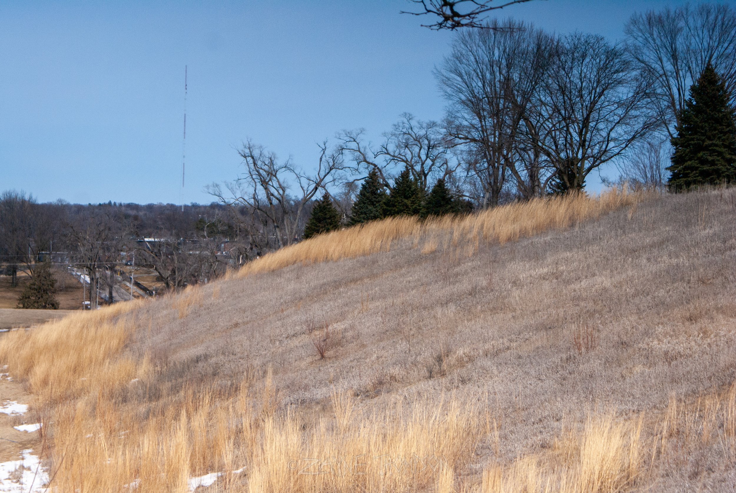 9 mar 2025 walk photos lower-47.jpg