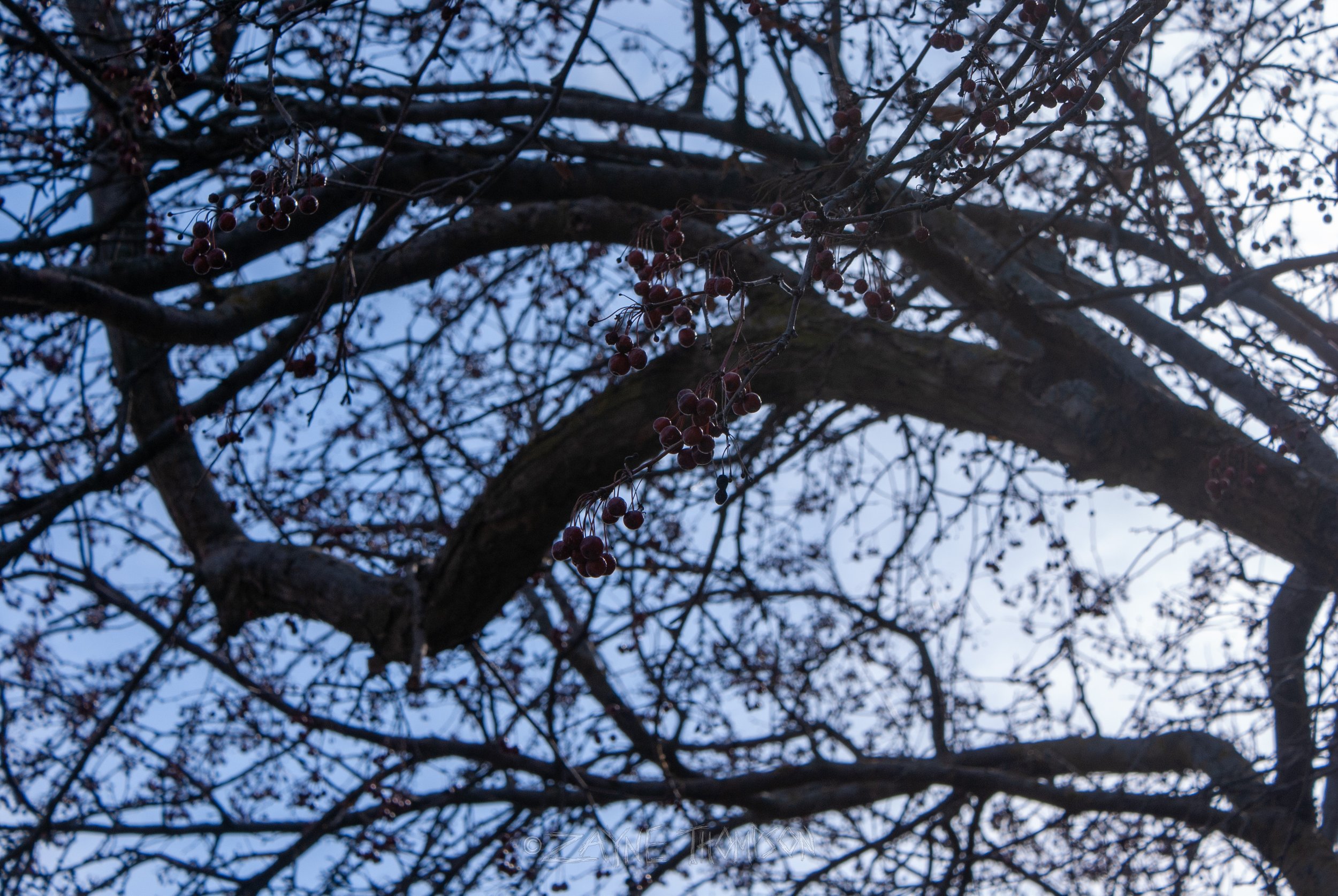 9 mar 2025 walk photos lower-54.jpg