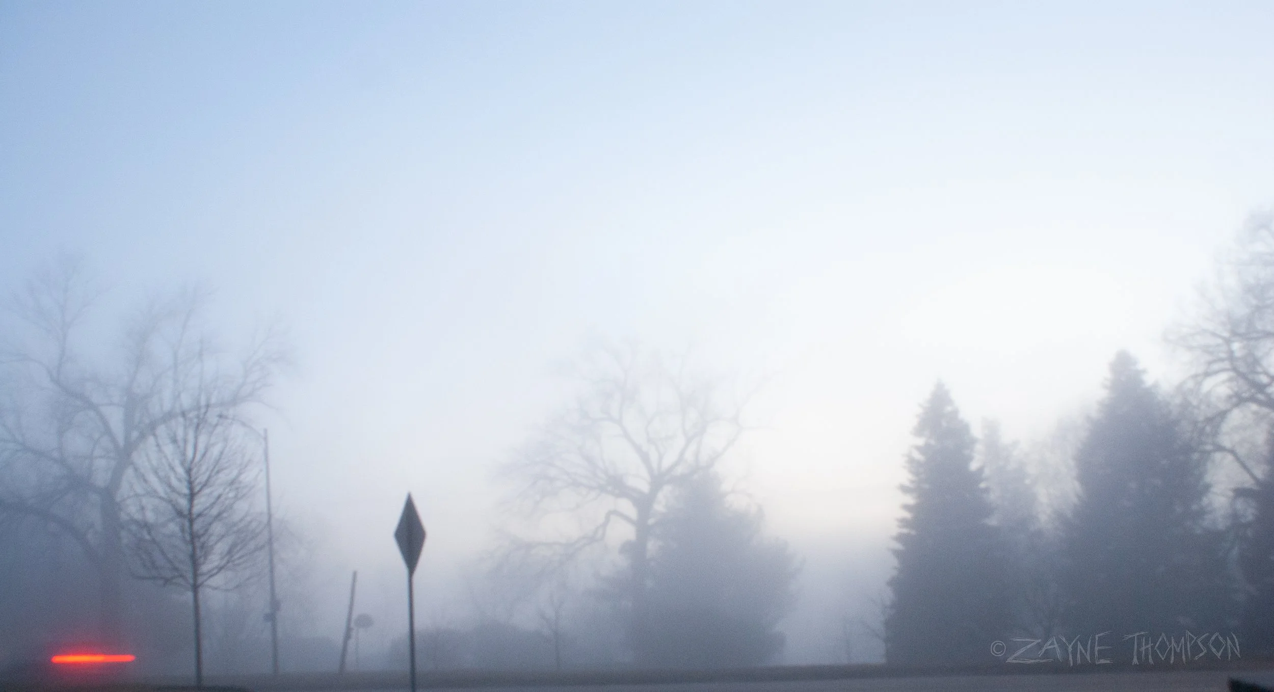 fog 2024 dec 29-36.jpg