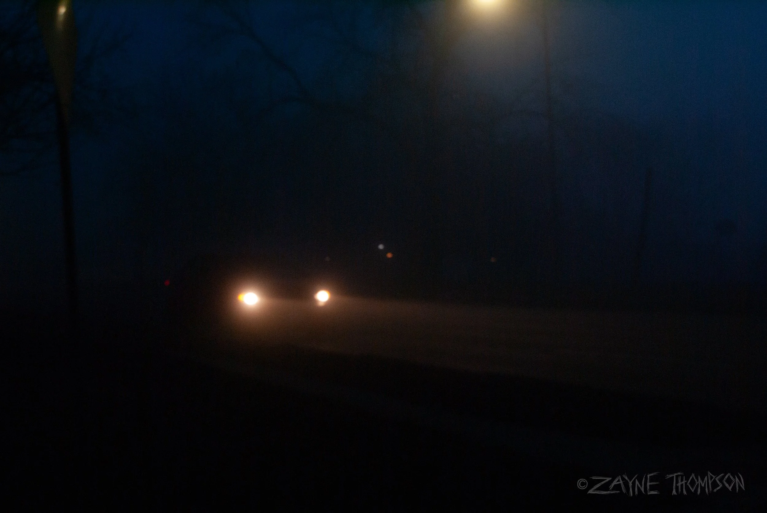 fog 2024 dec 29-43.jpg