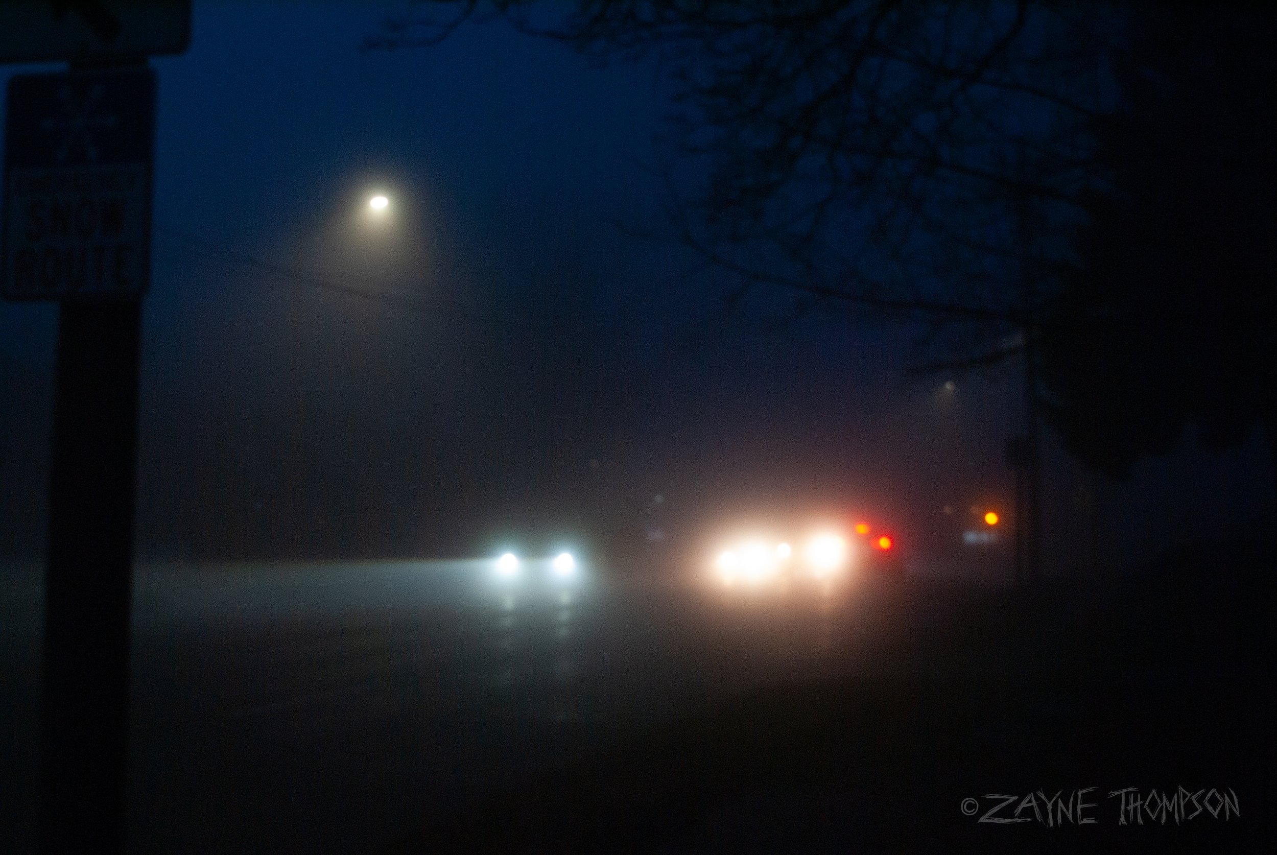 fog 2024 dec 29-44.jpg