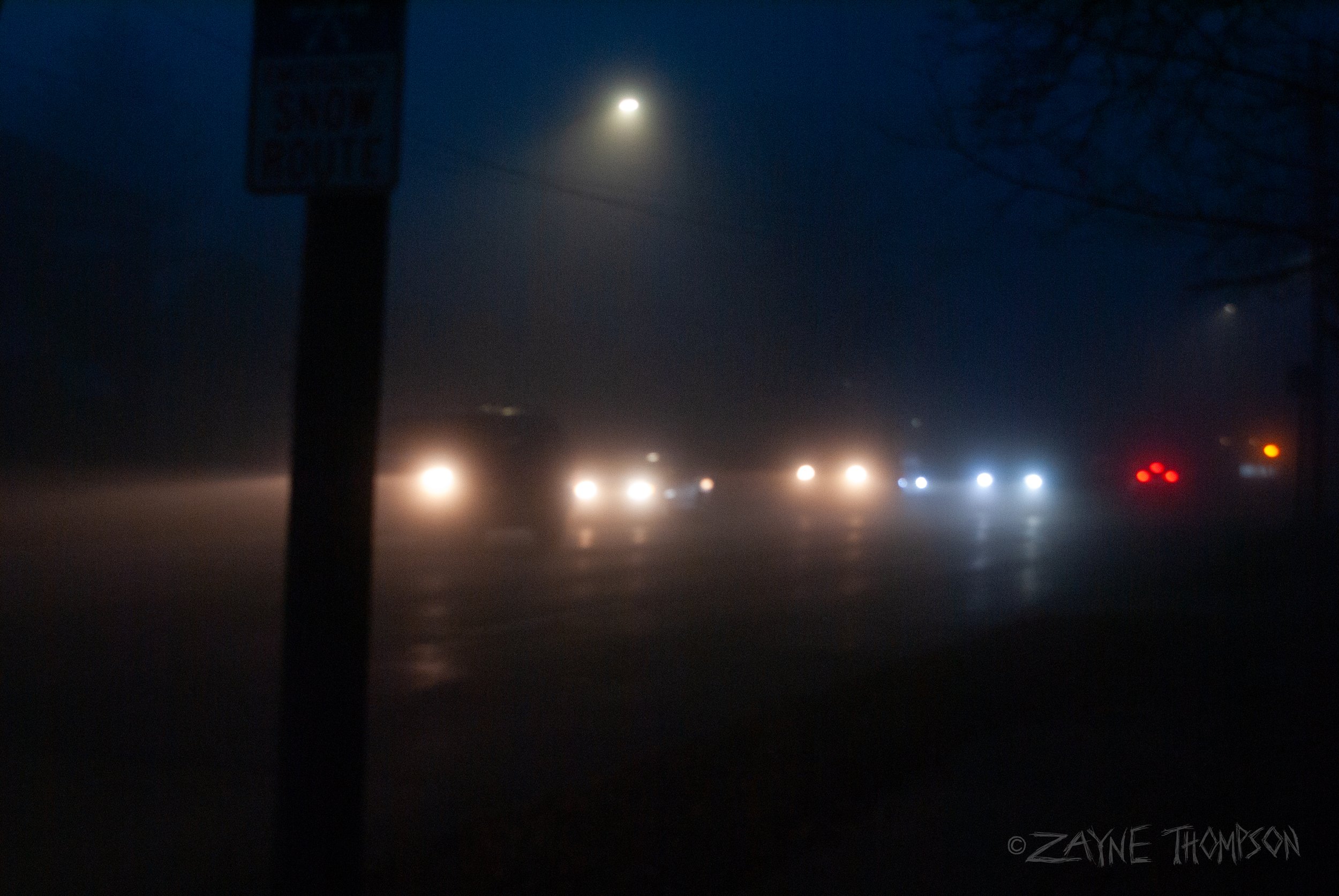 fog 2024 dec 29-45.jpg