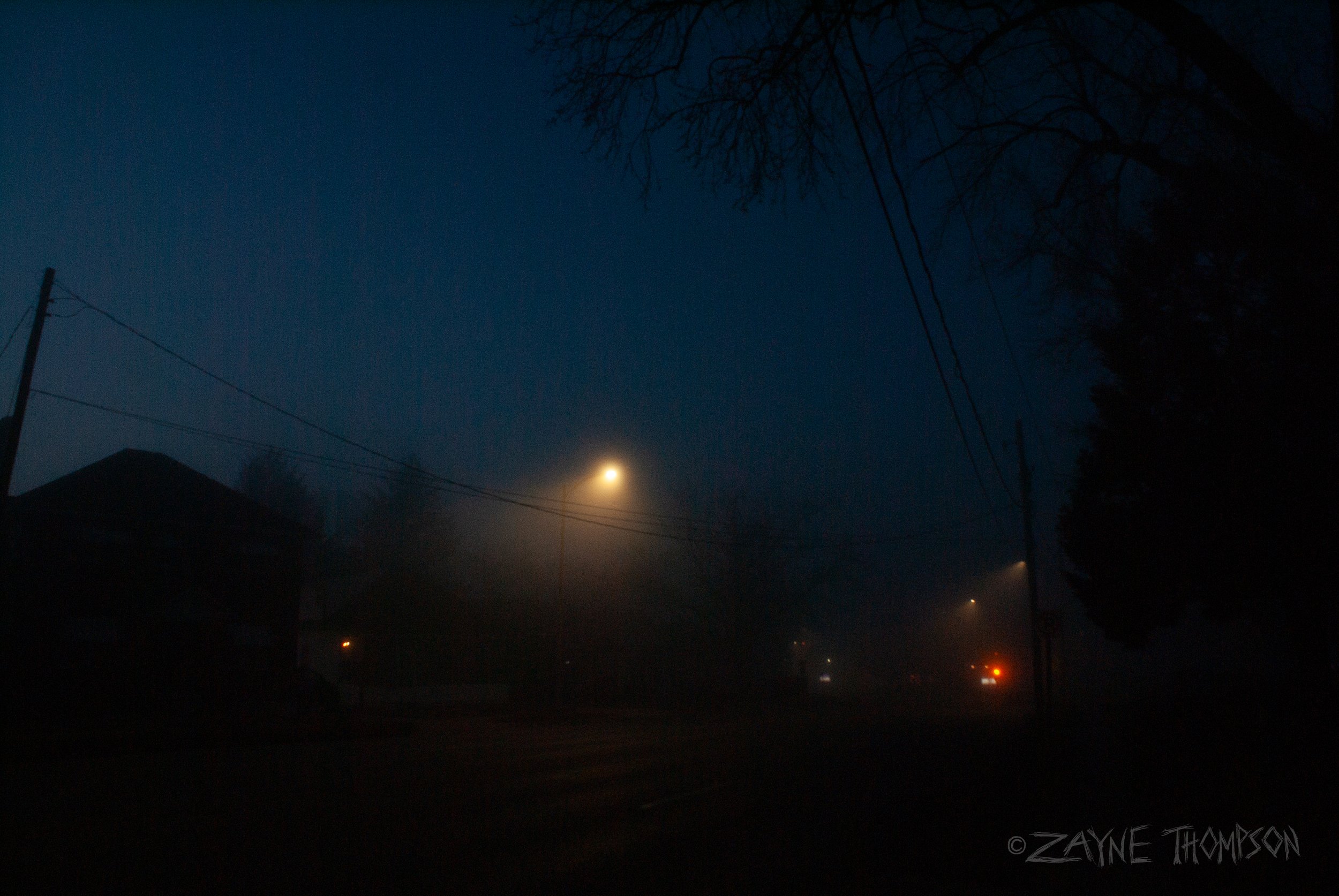 fog 2024 dec 29-46.jpg