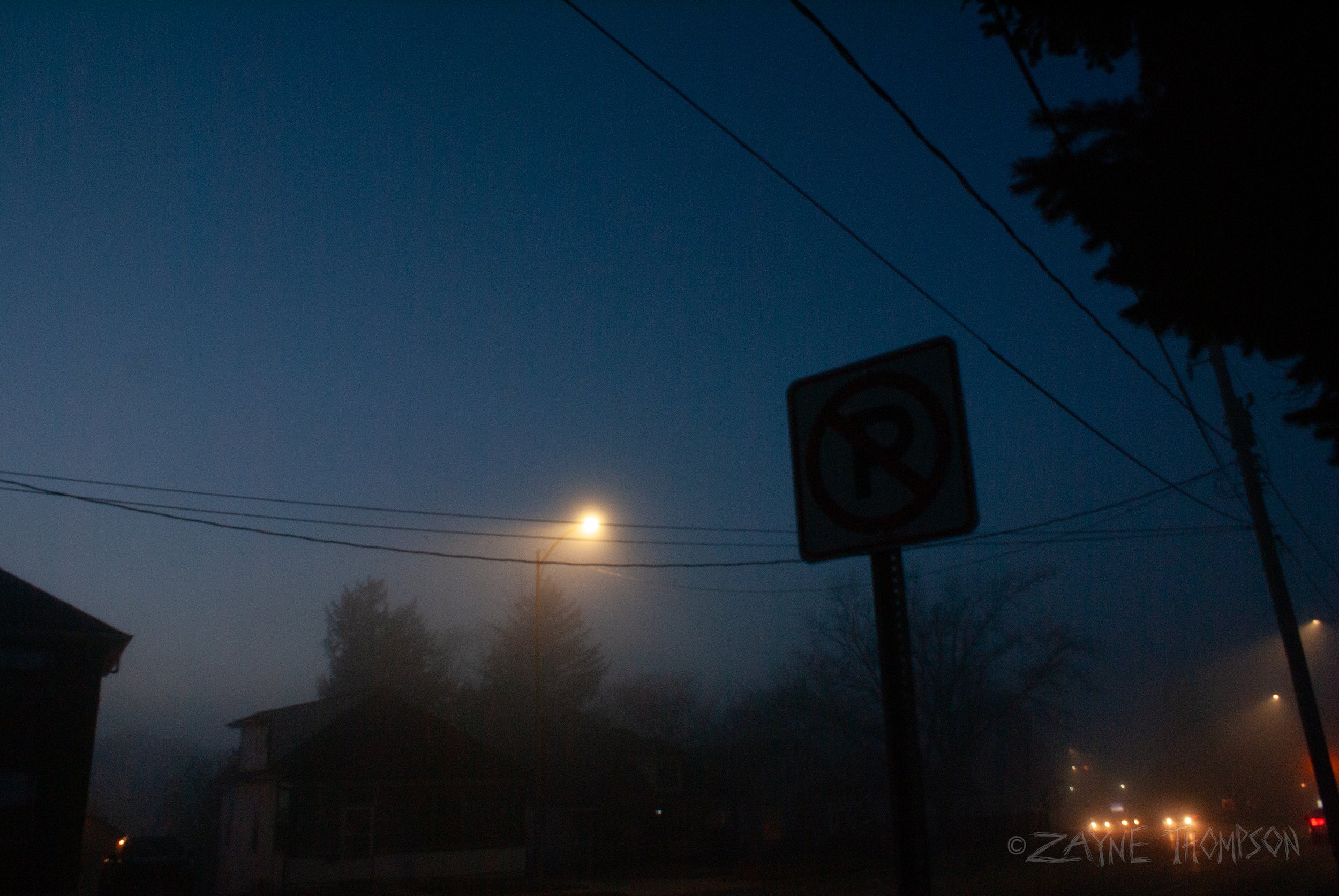 fog 2024 dec 29-47.jpg