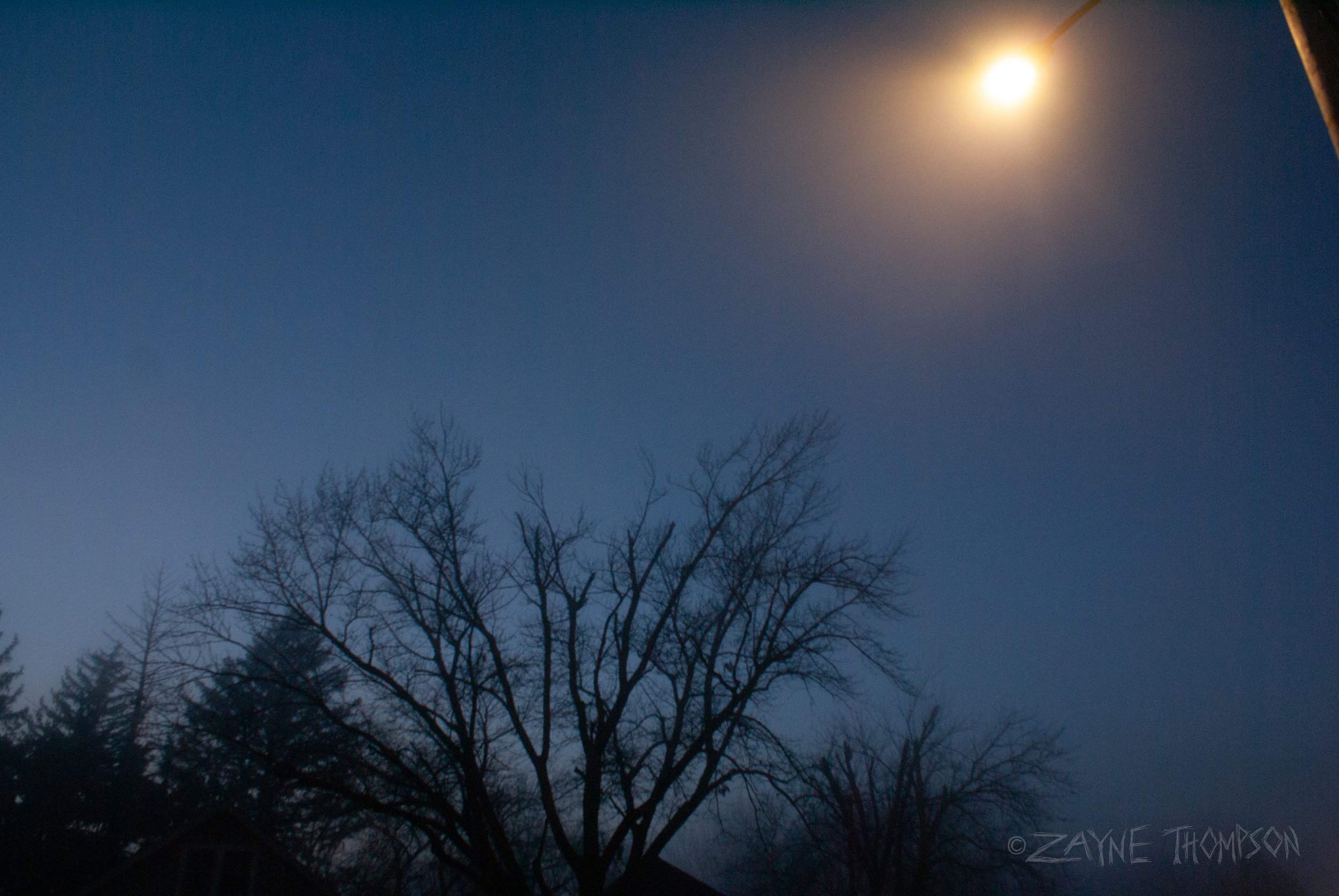 fog 2024 dec 29-48.jpg