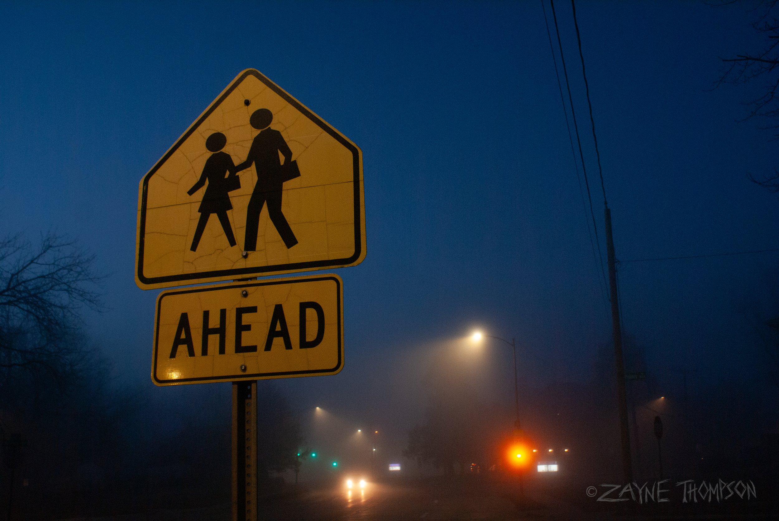 fog 2024 dec 29-49.jpg