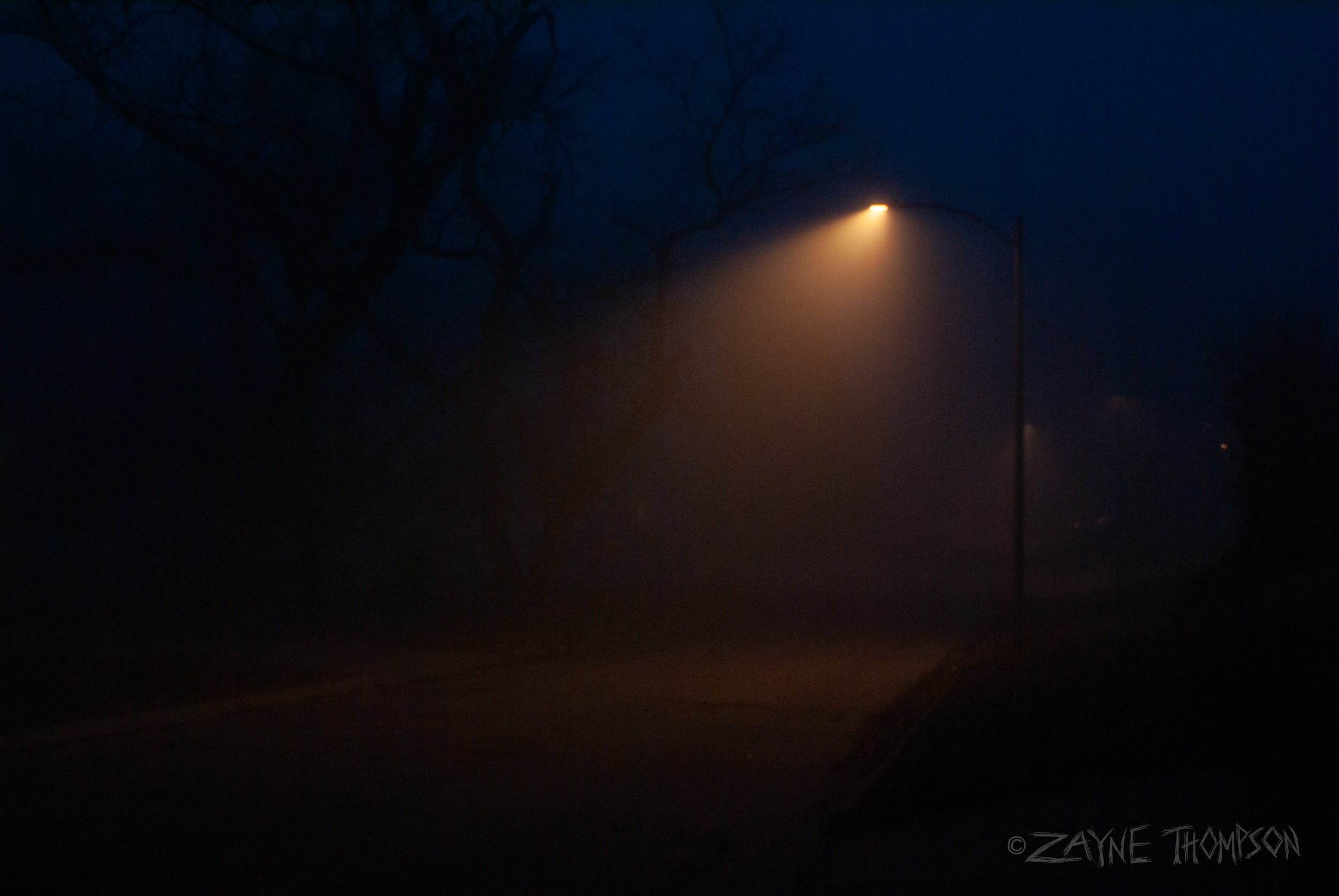 fog 2024 dec 29-52.jpg