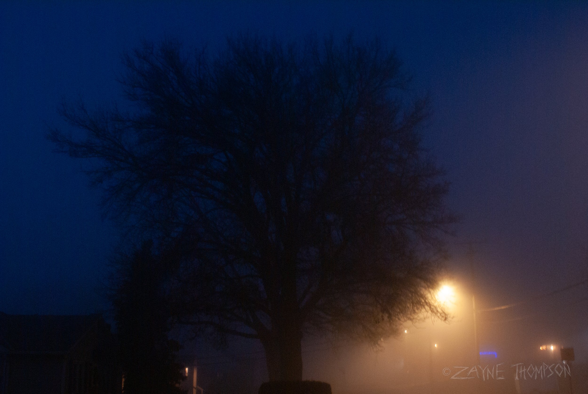 fog 2024 dec 29-58.jpg