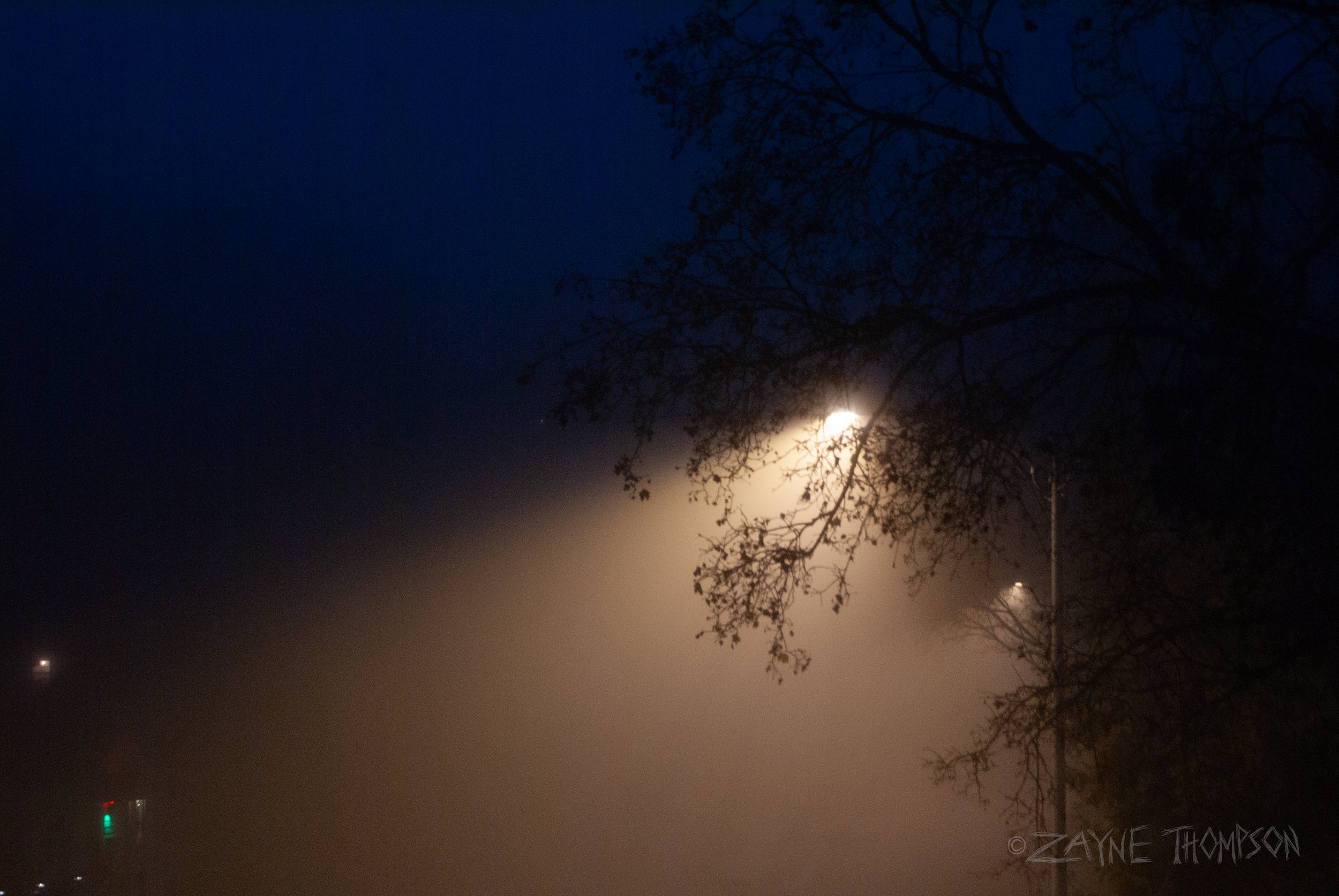 fog 2024 dec 29-65.jpg