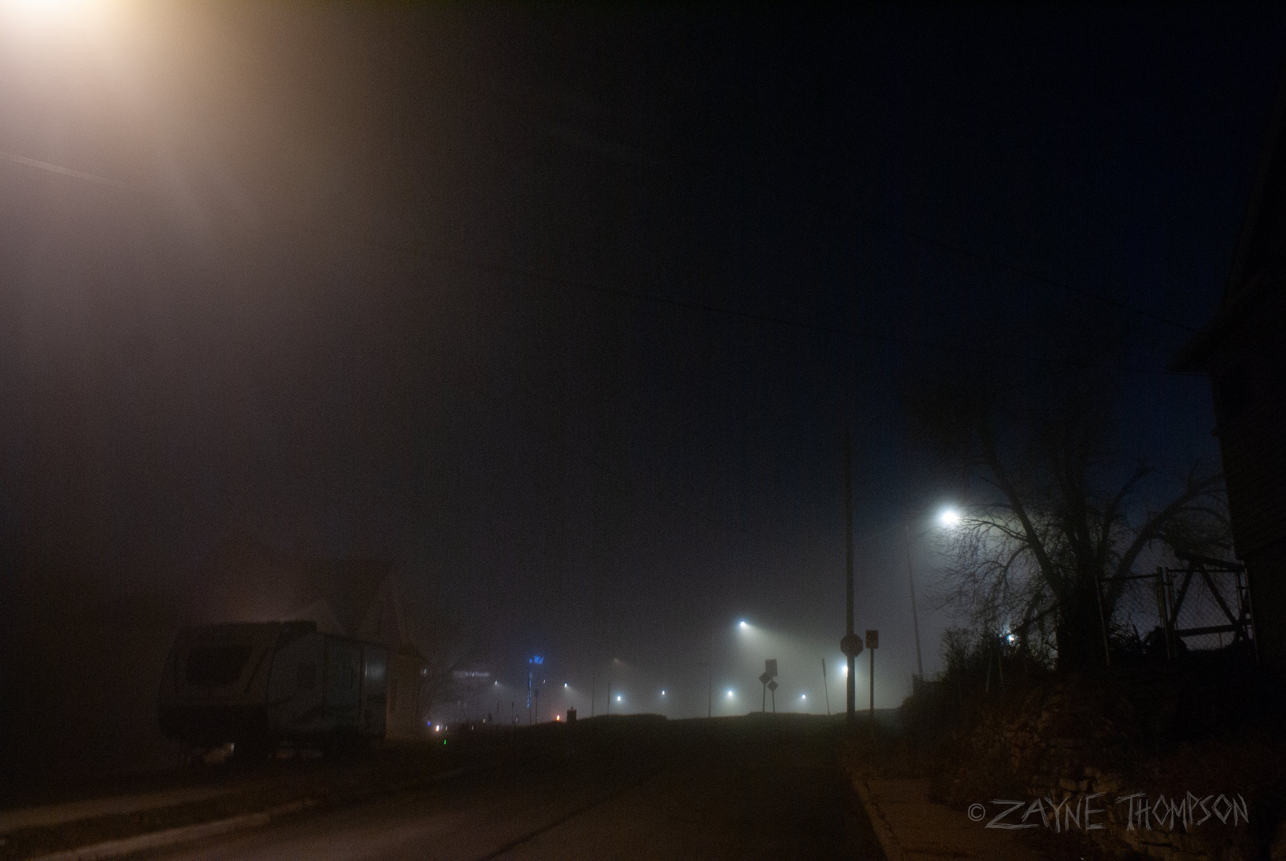fog 2024 dec 29-67.jpg