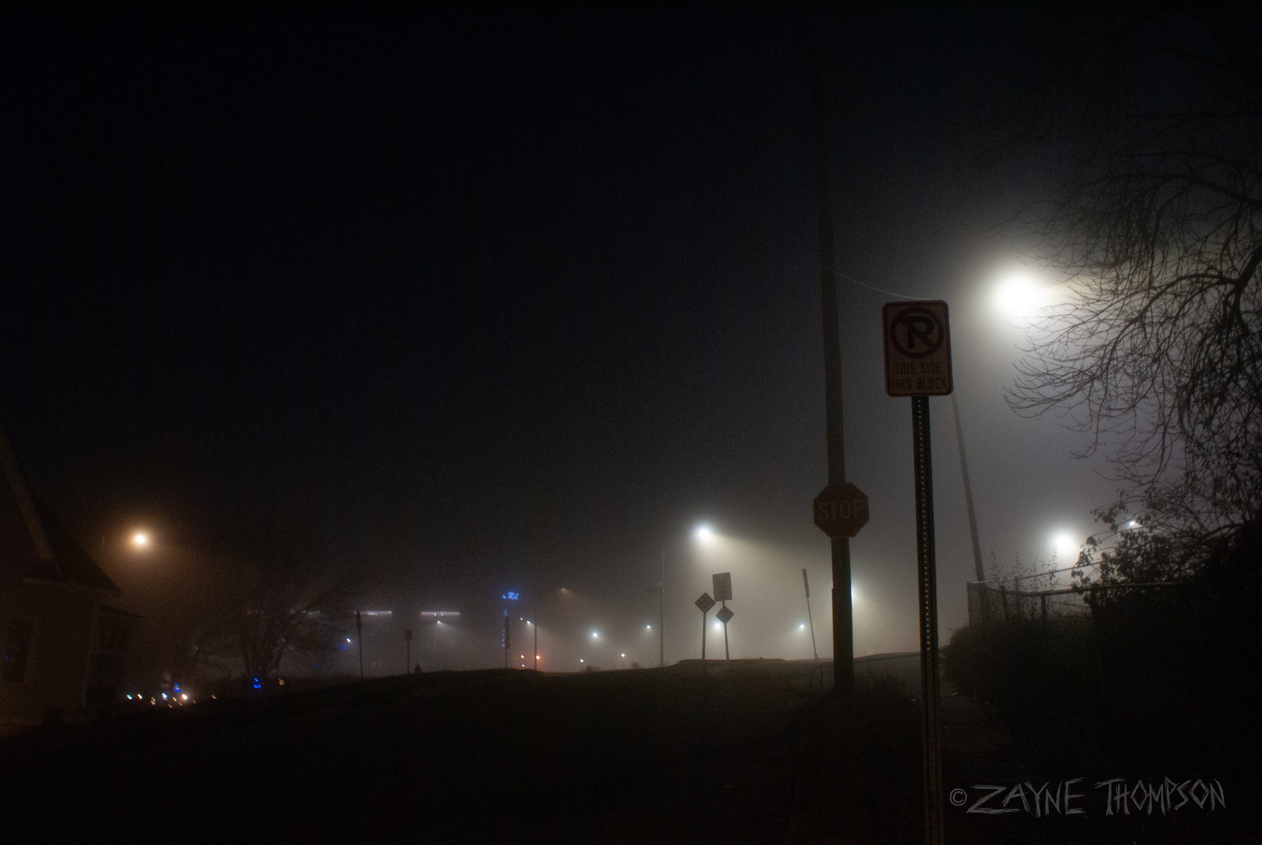 fog 2024 dec 29-68.jpg