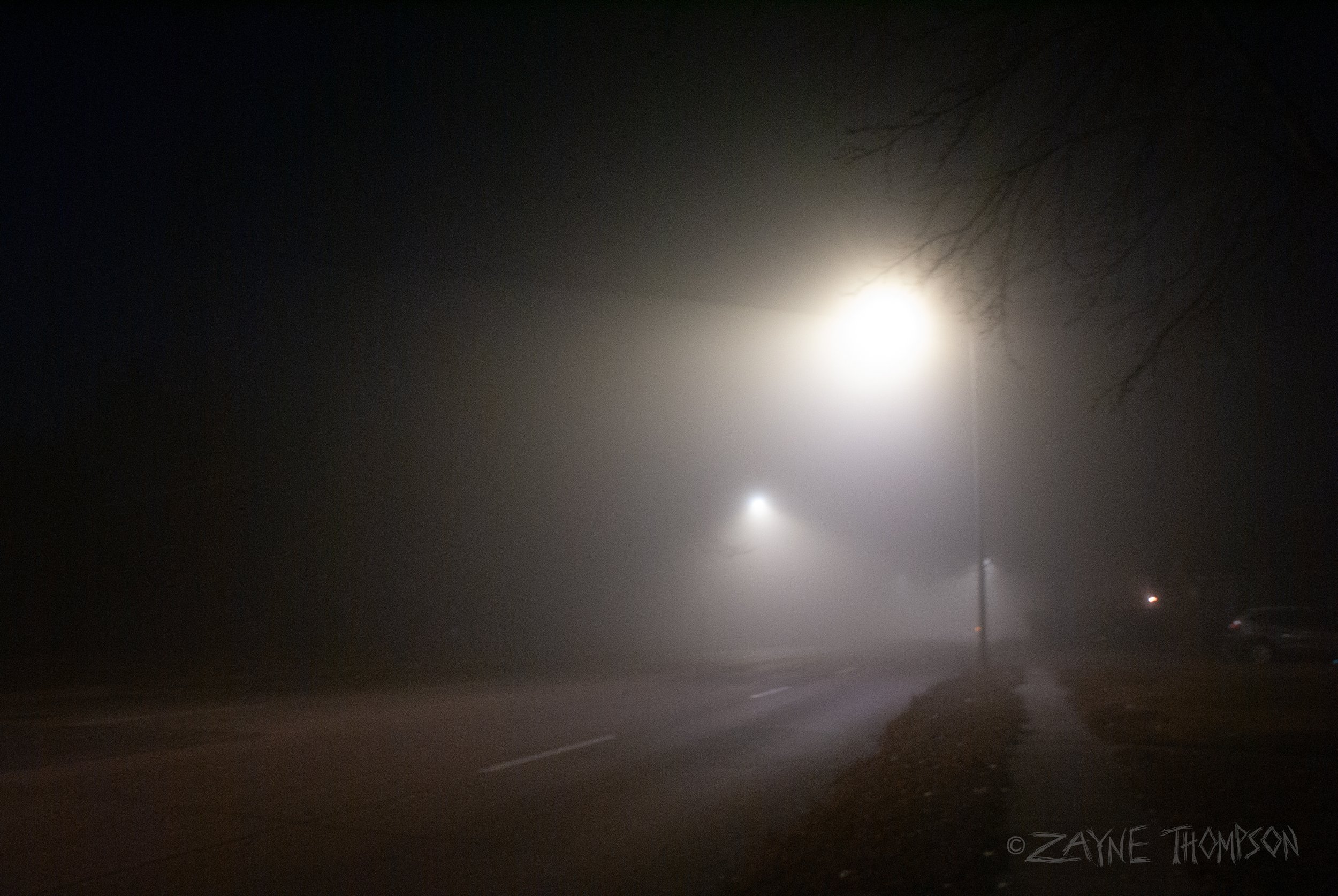fog 2024 dec 29-69.jpg