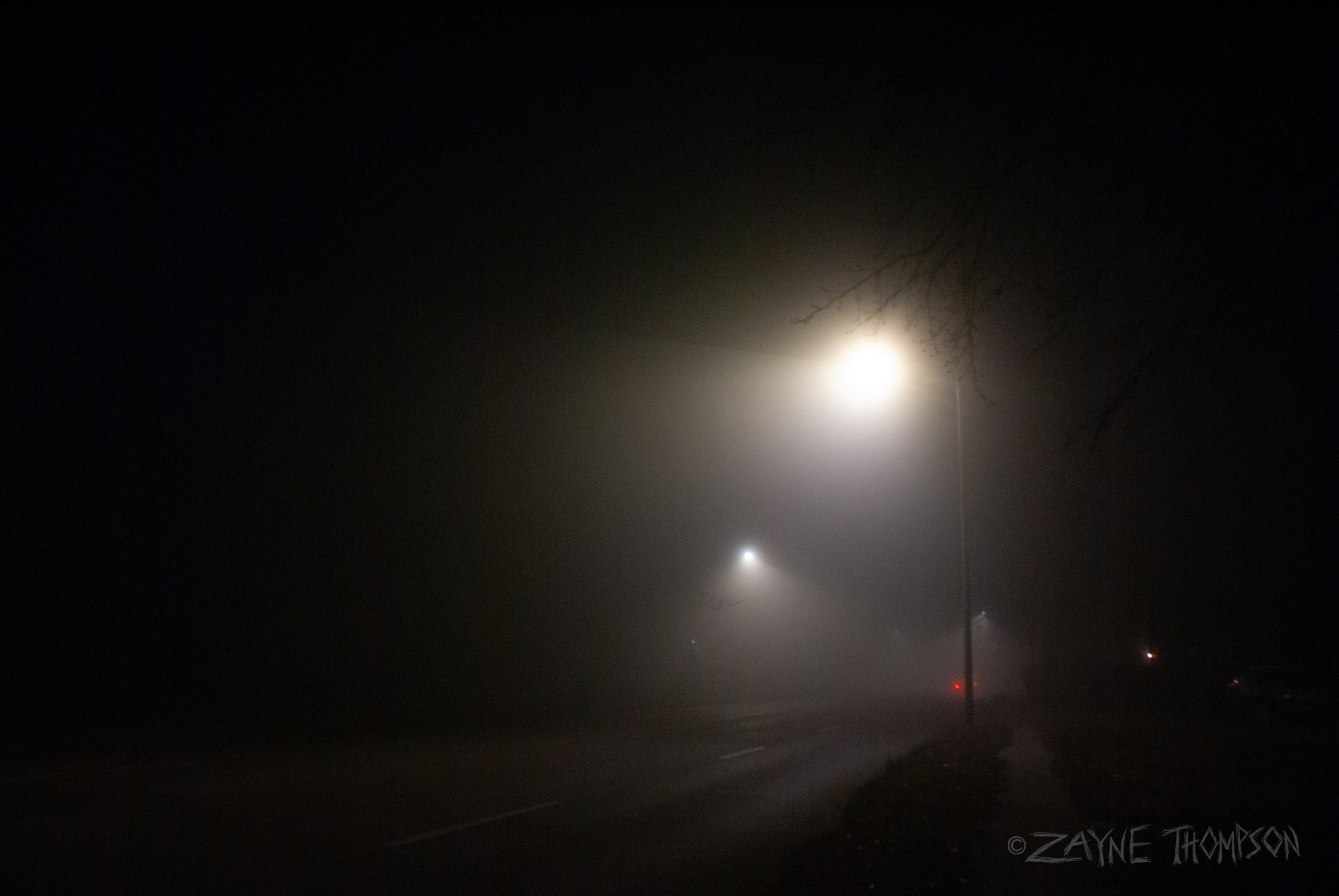 fog 2024 dec 29-70.jpg